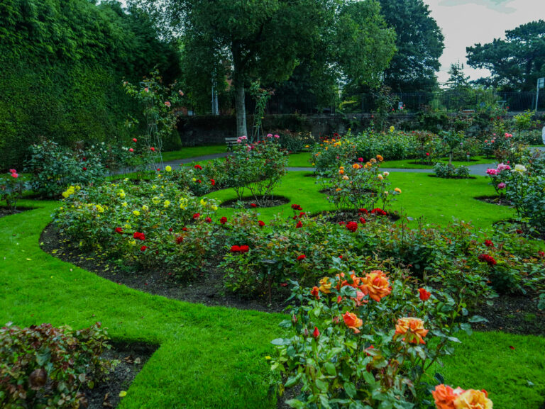 The National Botanic Gardens.